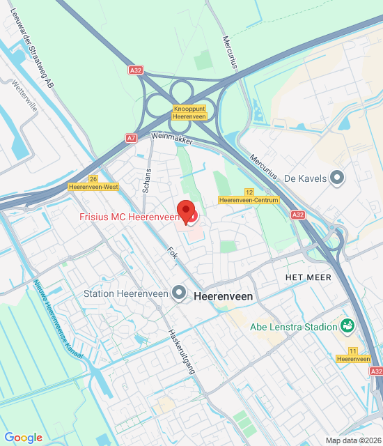 Google maps image for Heerenveen